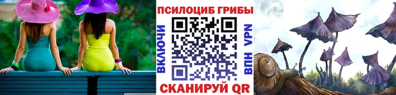 Псилоцибиновые грибы Psilocybine cubensis  Тулун 
