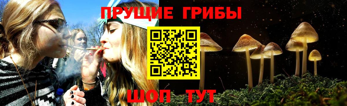 Галлюциногенные грибы Cubensis  Псилоцибиновые грибы MAGIC MUSHROOMS  Тулун  Вход с VPN 