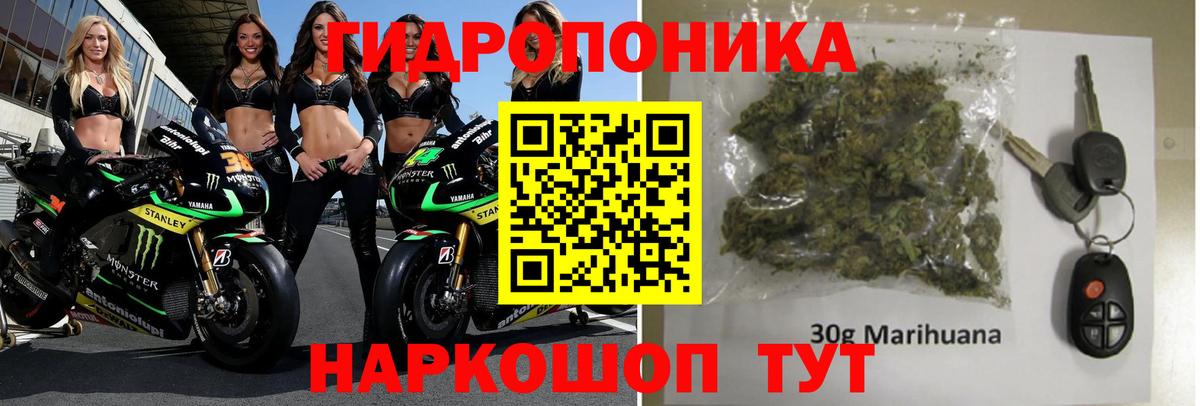 Бошки марихуана индика  Каннабис SATIVA & INDICA  Вход с VPN  Тулун 